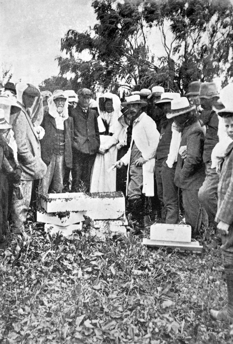 Image: A demonstration with a modern hive