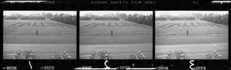 Image: Villa Maria College potato patch art