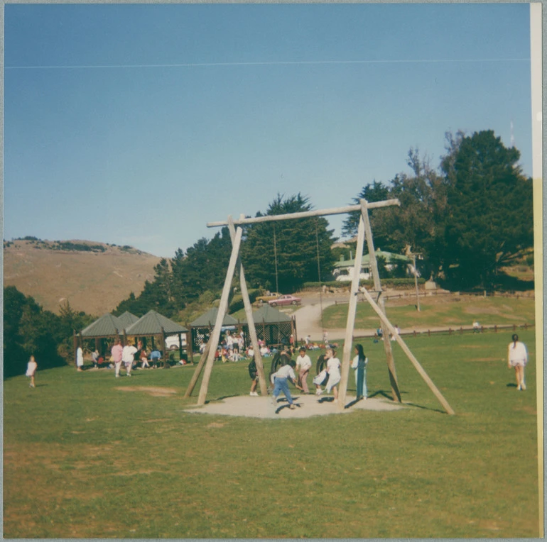 Image: Victoria Park swings