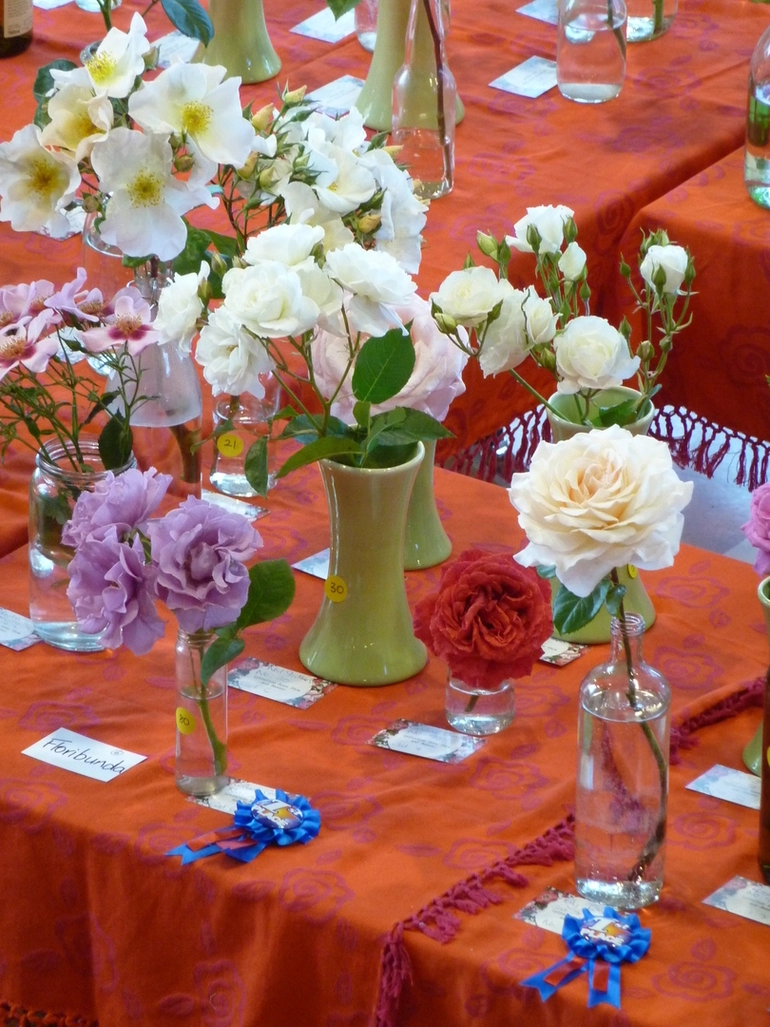 Image: Lyttelton Rose Show