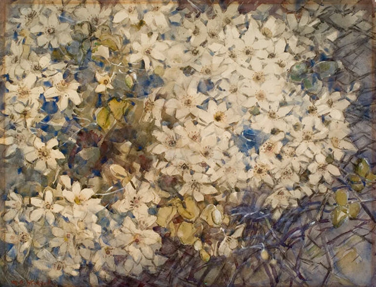Image: Margaret Stoddart - Native Clematis