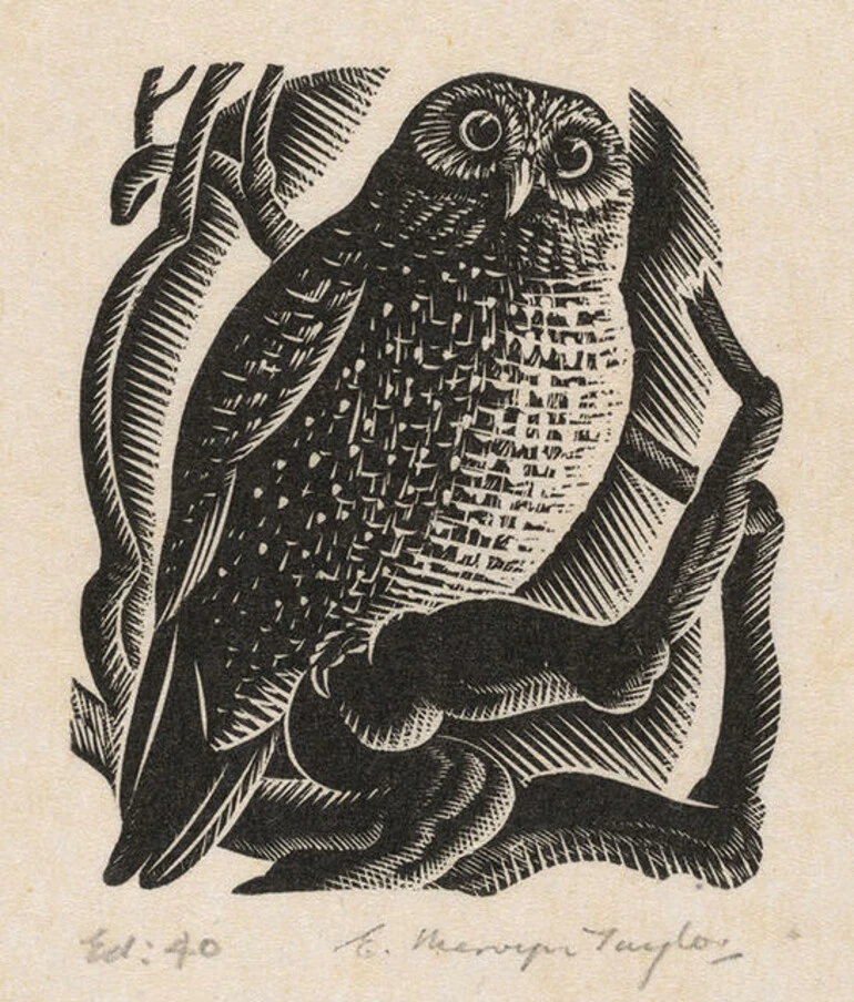 Image: E. Mervyn Taylor - Ruru (Morepork)