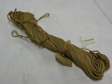 string Image: string