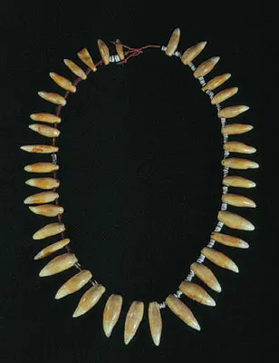ornament, neck Image: ornament, neck