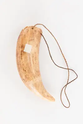Te buangui Image: Te buangui