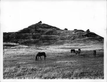 One Tree Hill. Image: One Tree Hill.