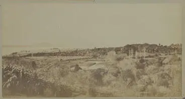 Domain Image: Domain