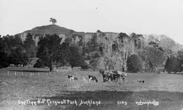 One Tree Hill. Image: One Tree Hill.