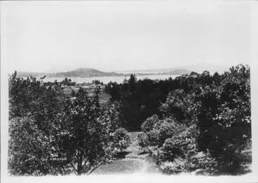 View from Domain to harbour. Image: View from Domain to harbour.