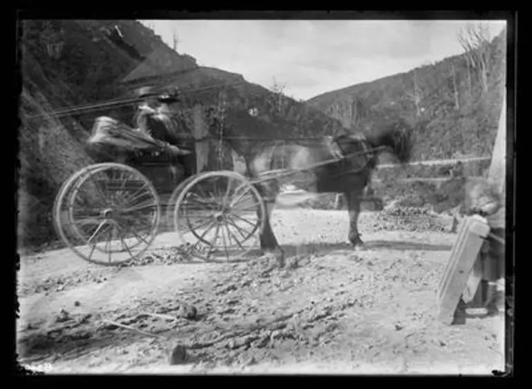 Image: [Horse drawn carriage with two passengers]