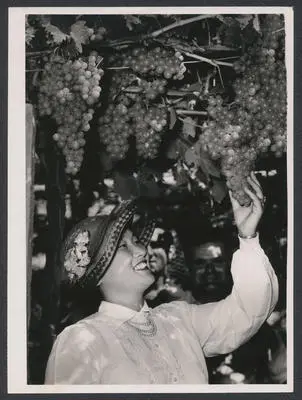 Mrs S. H. Chan with grapes Image: Mrs S. H. Chan with grapes