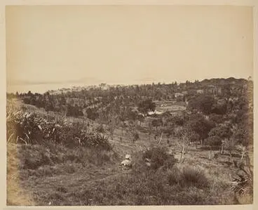 Auckland. View from the Domain. Image: Auckland. View from the Domain.