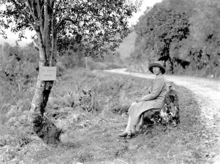 Image: Te Kooti Chair, Urewera