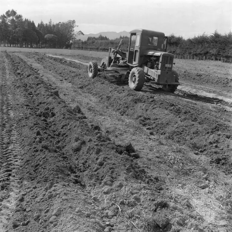 Image: Surface drainage, Hauraki plains, April 1963