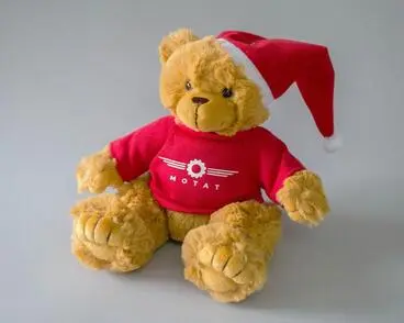 Image: Teddy Bear MOTAT, Santa