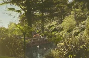 Botanic Gardens, Wellington Image: Botanic Gardens, Wellington