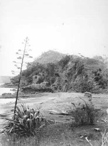 Rangihoua Pā, Northland Image: Rangihoua Pā, Northland