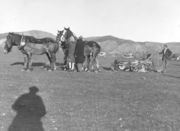 Image: Ploughing Match