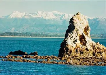 Fifeshire Rock Image: Fifeshire Rock