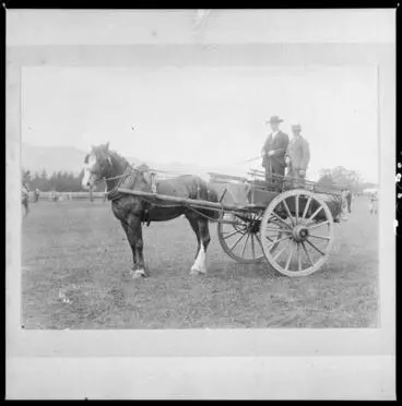 Rutherford, James & Ernest, at Richmond Showgrounds Image: Rutherford, James & Ernest, at Richmond Showgrounds