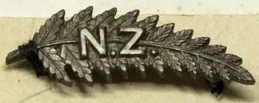 Image: Badge, Silver Fern (New Zealand Army Nursing Service Corps)