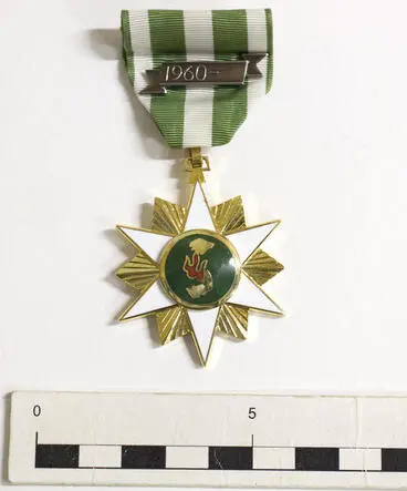 Image: Medal, South Vietnam Campaign