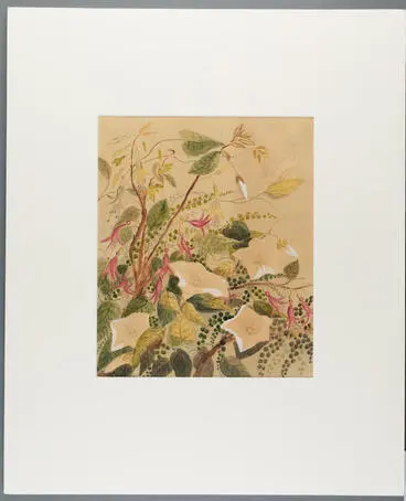 Image: Untitled (Fuchsia and Sophora)