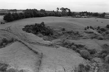 Image: Farmland with house