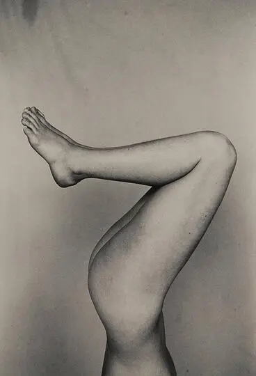 Image: Legs (from the Alphabet series)