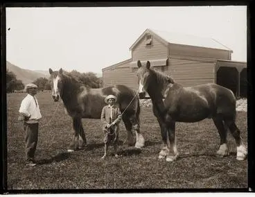 Image: Man and lad each holding a Clydesdale by rope. W. Scott (?) with Diamond & Punch