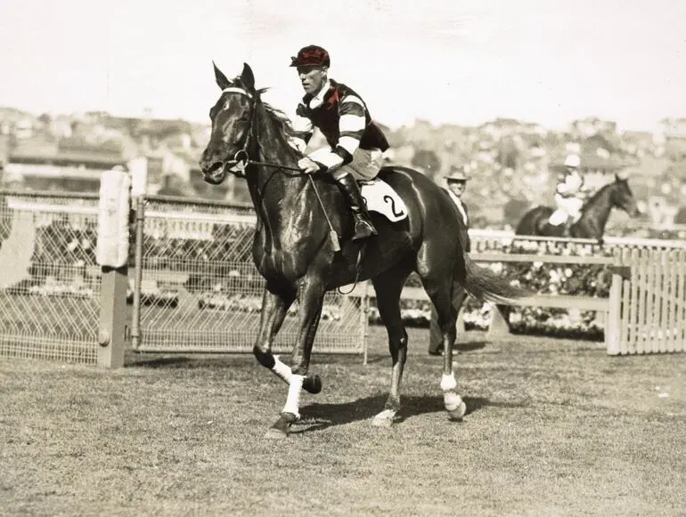 Image: Photographs - Phar Lap, A.J.C. Derby, Randwick, New South Wales, Framed, 1929