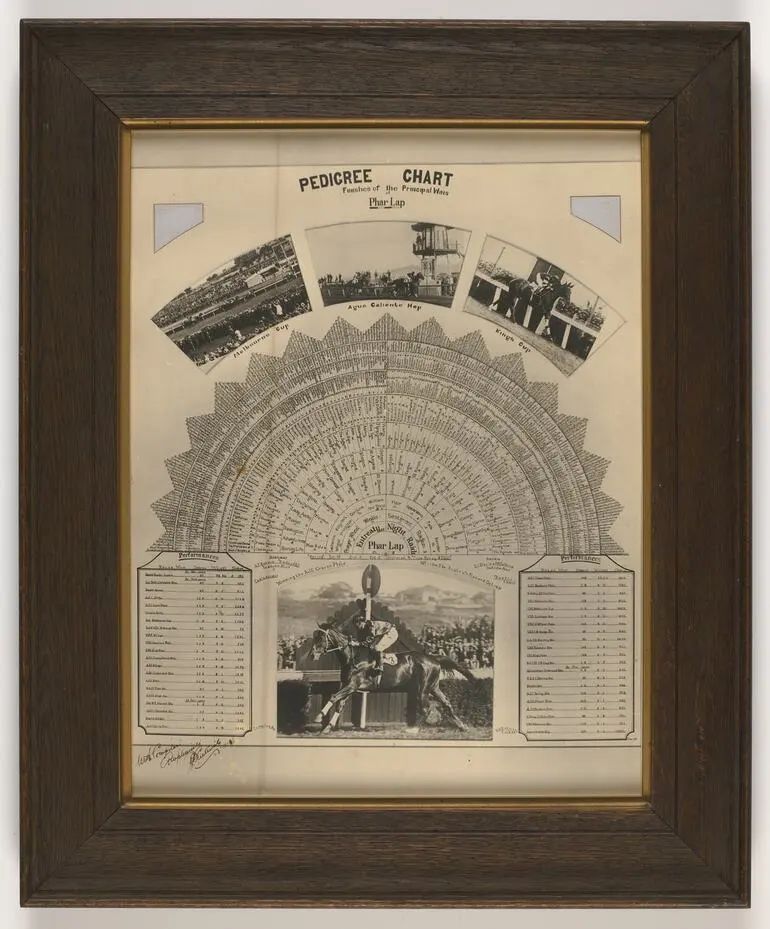 Image: Chart - Pedigree Chart, Phar Lap, Framed, 1930s