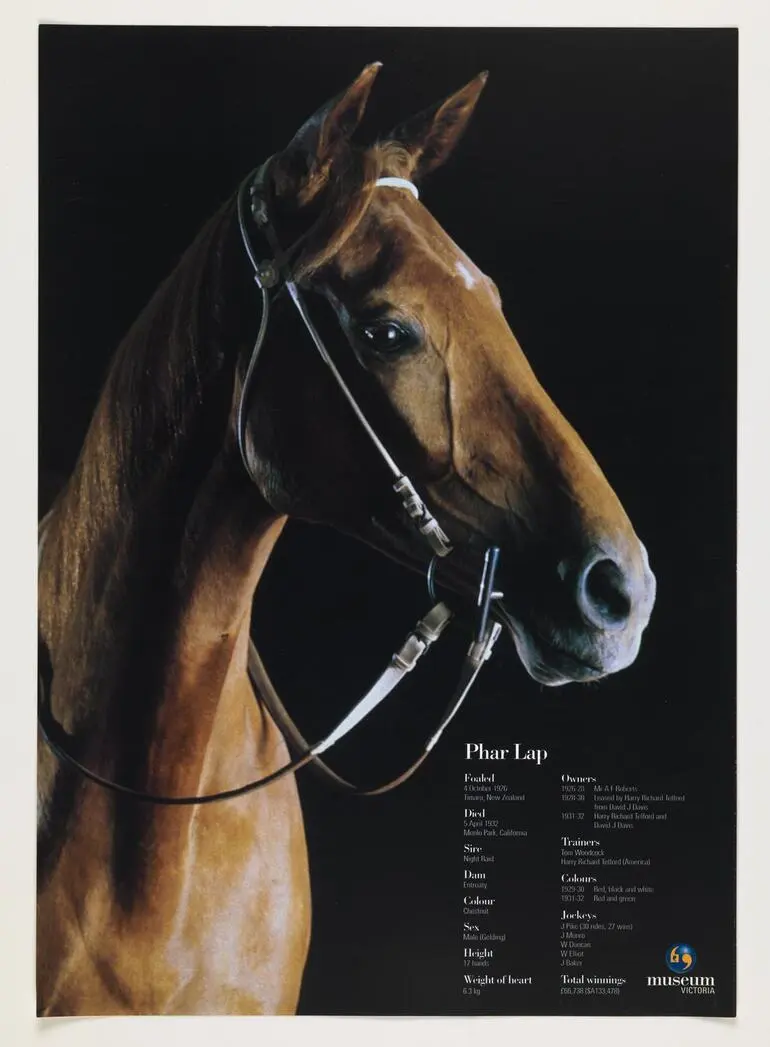 Image: Poster - Phar Lap, Museum Victoria Members Magazine, Mar 1999