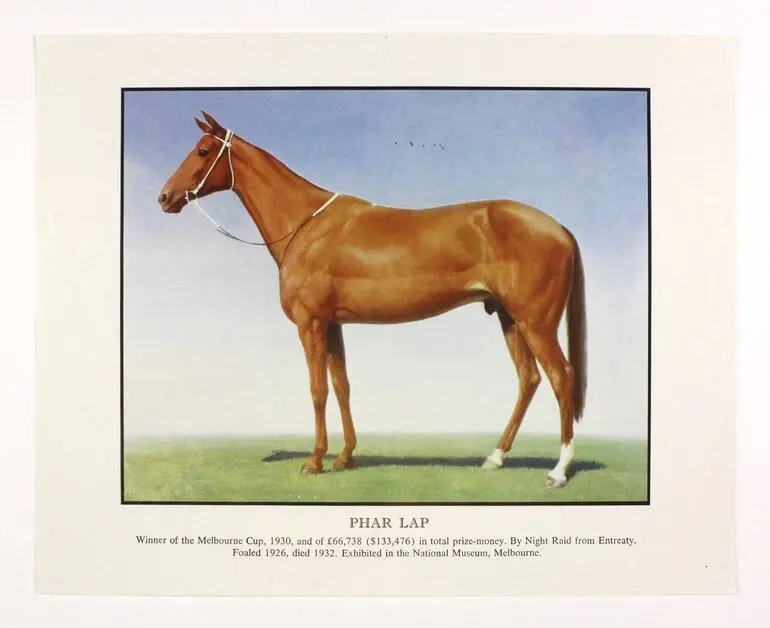 Image: Print - `Phar Lap, Winner of the Melbourne Cup, 1930', Museum Victoria, 1986