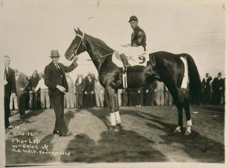 Image: Photograph - Phar Lap, Trainer Tommy Woodcock & Jockey Bill Elliot, Agua Caliente, 20 Mar 1932