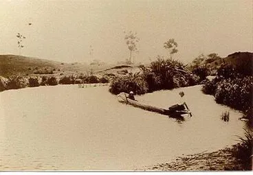 Image: Canoe on Hokio Stream