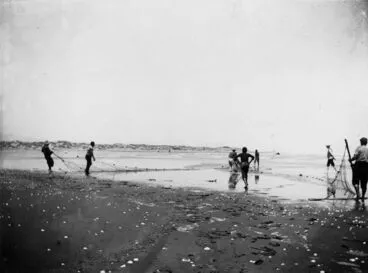 Image: Net fishing, Hokio Beach, 1905