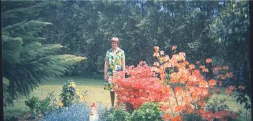 Image: Kingsbury Collection 1972-1973, garden