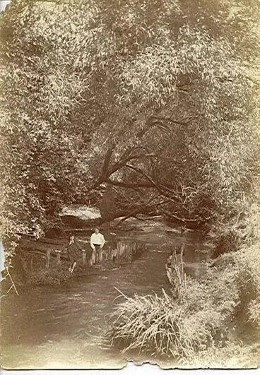 Image: Hokio Stream Eel Weir