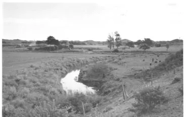 Image: Hokio Stream, looking west downstream, 1977