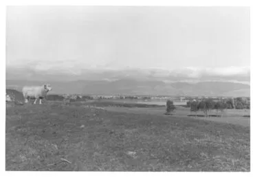 Image: West of Lake Horowhenua, 1970
