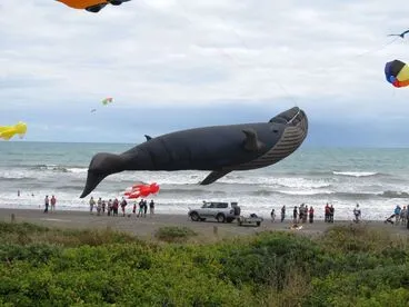 Image: Whale kite getting airborne