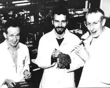 Image: Hurst, Heyes & King, examining broccoli