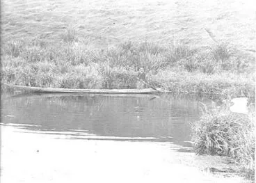 Image: Hokio Stream, H.H. McDonald in Maori canoe