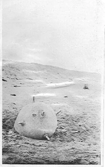 Image: Mine at Hokio Beach 1918