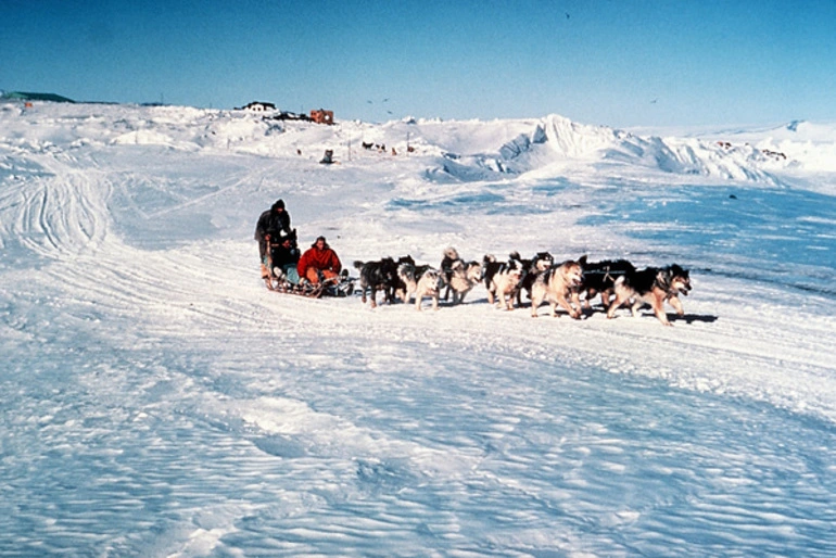 Image: A dog team from New Zealand-operated Scott Base is used to haul scientists and administrators to McMurdo Station for mail and supplies. PHOTO from June 1984 All Hands Magazine