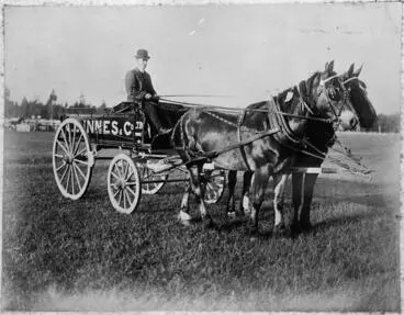 C.L.Innes and Co. Ltd horses and wagon at Claudelands showgrounds. Image: C.L.Innes and Co. Ltd horses and wagon at Claudelands showgrounds.