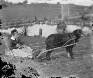 Image: Young boy in dog drawn cart.