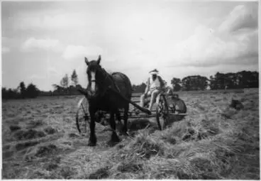 Image: Turning hay