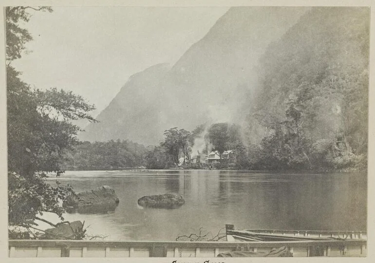 Image: Arthur River, Milford Sound, looking up from boat landing